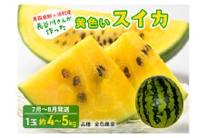 【先行予約2025年産】長谷川さんが作った黄色いスイカ 1玉 約4～5kg（品種：金色羅皇）7月～8月発送 青森県鰺ヶ沢町産