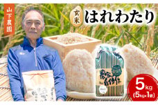 米 令和7年産 はれわたり 玄米 5kg 1袋 こめ お米 おこめ コメ ご飯 ごはん 令和7年 山下農園 青森 青森県 