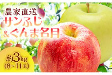 サイキチ農園 サンふじ ぐんま名月 約 3kg (8～11玉)  青森県鰺ヶ沢町産 りんご リンゴ  フルーツ 果物 果物類 林檎 