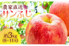 サイキチ農園 サンふじ 約 3kg (8～11玉)  青森県鰺ヶ沢町産 りんご リンゴ  フルーツ 果物 果物類 林檎 