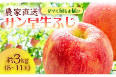 サイキチ農園 サン早生ふじ  ( 弘前ふじ ) 約 3kg (8～11玉) 青森県鰺ヶ沢町産 りんご リンゴ  フルーツ 果物 果物類 林檎 