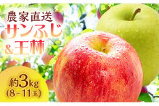 サイキチ農園 サンふじ 王林 約 3kg (8～11玉) 青森県鰺ヶ沢町産 りんご リンゴ  フルーツ 果物 果物類 林檎 