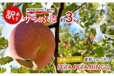 【変顔シール付き 変形りんご入り】 青森県鰺ヶ沢町産 訳あり サンふじ 約3kg (8～9玉) PETA PETA RINGO