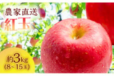 サイキチ農園 紅玉 約 3kg (8～15玉) 青森県鰺ヶ沢町産 りんご リンゴ  フルーツ 果物 果物類 林檎 