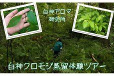 【白神アロマ研究所】5名様まで参加可能！白神クロモジ蒸留体験ツアー（昼食付）