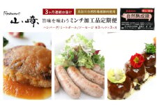 【3ヶ月連続お届け】【長谷川自然牧場産豚肉使用】【お家レストラン】旨味を味わうミンチ加工品定期便(ハンバーグ/ミートボール/ソーセージ各3パック×3ヶ月)