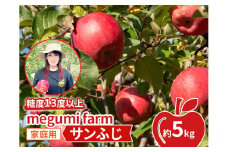 りんご 【 数量限定 】 糖度13度以上 家庭用 サンふじ 約 5kg 糖度 青森 果物 くだもの フルーツ 青森県 鰺ヶ沢
