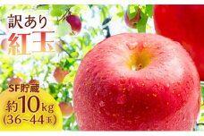 りんご 訳あり スマートフレッシュ 紅玉 約 10kg (36～44玉) 青森県産 リンゴ サイキチ農園 青森県 鰺ヶ沢町産 フルーツ 果物 不揃い 傷 林檎