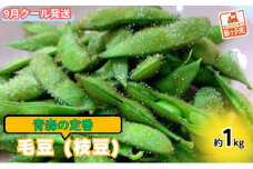 【 2025年産 数量限定 】青森の定番 毛豆 約1kg【 9月 クール便発送 】青森県鰺ヶ沢町産 ※オンライン決済のみ 野菜 枝豆 大粒 甘みが強い 豊かな香り コク ほっくり おつまみ 料理 お弁当 食材