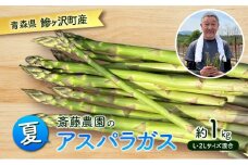夏アスパラガス 約1kg L～2L 混合 斎藤農園 野菜 アスパラガス 栄養豊富 ほんのり甘い 肉質しっかり あっさりとした食味  おつまみ 料理 お弁当 食材