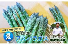 夏アスパラガス 約1.2kg ＋100g M～L 混合 古川農園 ※オンライン決済限定 野菜 アスパラガス アスパラ 栄養豊富 ほんのり甘い 肉質しっかり あっさりとした食味  おつまみ 料理 お弁当 食材