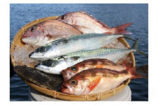 大漁まるごと海鮮セット