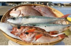 豪華まるごと海鮮セット