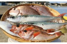 満足まるごと海鮮セット