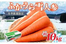 【冬季数量限定】ふかうら雪人参 約10kg 人参 にんじん ニンジン ジュース フルーティー 甘い おいしい ブランド 野菜 青森県 深浦町
