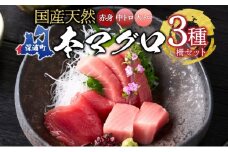 天然 本マグロ 赤身 中トロ 大トロ 3種セット 国産 本鮪 まぐろ マグロ クロマグロ 鮪 刺身 丼ぶり 寿司 海鮮 魚介 贅沢 お取り寄せ 詰め合わせ グルメ 産地直送 送料無料 冷凍 あおもり海山 青森県 深浦町