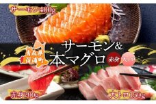 青森サーモン＆天然 本マグロ 赤身 大トロ セット 計750g 国産 青森 サーモン 本鮪 まぐろ マグロ クロマグロ 鮪 刺身 丼ぶり 海鮮 魚介 贅沢 お取り寄せ 詰め合わせ グルメ 産地直送 送料無料 冷凍 あおもり海山 青森県 深浦町