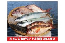 まるごと海鮮セット定期便2回お届け