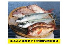 まるごと海鮮セット定期便3回お届け