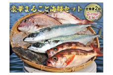 豪華まるごと海鮮セット定期便2回お届け