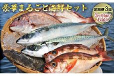 豪華まるごと海鮮セット定期便3回お届け