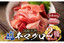 天然 本マグロ 赤身 中トロ 2種セット 国産 本鮪 まぐろ マグロ クロマグロ 鮪 刺身 丼ぶり 寿司 海鮮 魚介 贅沢 お取り寄せ 詰め合わせ グルメ 産地直送 送料無料 冷凍 あおもり海山 青森県 深浦町 