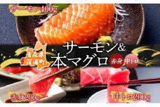 青森サーモン＆天然 本マグロ 赤身 中トロ セット 計800g 国産 青森 サーモン 本鮪 まぐろ マグロ クロマグロ 鮪 刺身 丼ぶり 海鮮 魚介 贅沢 お取り寄せ 詰め合わせ グルメ 産地直送 送料無料 冷凍 あおもり海山 青森県 深浦町