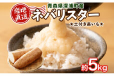 青森県深浦町産 ネバリスター 約5kg 土つき 長芋 根菜 野菜 とろろ 粘り ねばねば 加熱調理 ホクホク 味が濃い 甘み 産地直送 青森県 深浦町