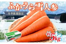 【冬季数量限定】ふかうら雪人参 約5kg 人参 にんじん ニンジン ジュース フルーティー 甘い おいしい ブランド 野菜 青森県 深浦町