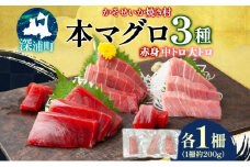 本マグロ 3種 赤身 中トロ 大トロ 各1柵 国産 本鮪 まぐろ マグロ クロマグロ 鮪 刺身 丼ぶり 寿司 海鮮 魚介 贅沢 お取り寄せ 詰め合わせ グルメ 産地直送 送料無料 冷凍 道の駅 青森県 深浦町