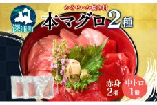 本マグロ 赤身 2柵 中トロ 1柵 セット 国産 本鮪 まぐろ マグロ クロマグロ 鮪 刺身 丼ぶり 寿司 海鮮 魚介 贅沢 お取り寄せ 詰め合わせ グルメ 産地直送 送料無料 冷凍 道の駅 青森県 深浦町