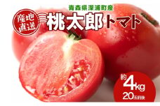 青森県産 桃太郎 トマト 約4kg 20玉前後 7月中旬～11月中旬頃お届け 大玉 tomato 新鮮 野菜 旬 甘い 完熟 ジュース 産地直送 農家直送 お取り寄せ 常温 永谷農園 青森県 深浦町