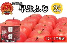 化粧箱入り早生ふじ約3kg贈答用【特A】（10月発送）青森県産