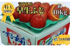 早生ふじ約10kg贈答用【特A】（10月発送）青森県産