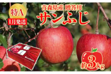 サンふじ 約3kg 贈答用 特A 特選 1月発送 化粧箱入 りんご 林檎 リンゴ 果物 フルーツ くだもの 旬 青森県産 お取り寄せ 贈り物 プレゼント 人気 東北 名産 産地直送 常温 青森県 西目屋村 