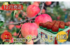 サンふじ約10kg贈答用【特A】（12月発送）青森県産