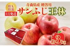 サンふじ 王林 約3kg 贈答用 特A 特選 1月発送 化粧箱入 りんご 林檎 リンゴ 果物 フルーツ くだもの 旬 青森県産 お取り寄せ 贈り物 食べ比べ 詰め合わせ 人気 産地直送 常温 青森県 西目屋村