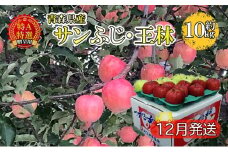 サンふじ・王林約10kg 贈答用【特A・特選】（12月発送）青森県産