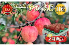 サンふじ約10kg 贈答用【特A】（2月発送）青森県産