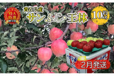 サンふじ・王林約10kg 贈答用【特A・特選】（2月発送）青森県産