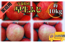 早生ふじ約10kg 家庭用青森県産（10月発送）
