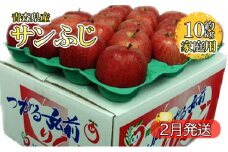 サンふじ約10kg 家庭用（2月発送）青森県産