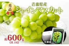 シャインマスカット 秀品 1房 約600g 青森県産 ぶどう ブドウ 葡萄 種なし 大粒 果物 フルーツ くだもの 果実 旬 贈答用 化粧箱 贈り物 人気 お取り寄せ 産地直送 青森県 西目屋村