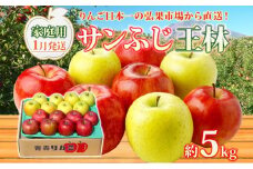 【1月発送】 家庭用 サンふじ 王林 約5kg りんご 林檎 リンゴ 果物 フルーツ くだもの 旬 青森県産 お取り寄せ 詰め合わせ セット 常温 産地直送 送料無料 青森県 西目屋村