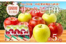 【1月発送】 贈答用 サンふじ 王林 約5kg りんご 林檎 リンゴ 果物 フルーツ くだもの 旬 青森県産 お取り寄せ 詰め合わせ セット 人気 東北 名産 常温 産地直送 送料無料 青森県 西目屋村 