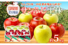 【2月発送】 贈答用 サンふじ 王林 約5kg りんご 林檎 リンゴ 果物 フルーツ くだもの 旬 青森県産 お取り寄せ 詰め合わせ セット 人気 東北 名産 常温 産地直送 送料無料 青森県 西目屋村
