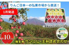 【1月発送】贈答用 サンふじ・王林詰め合わせ 約10kg【青森りんご】