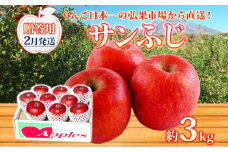 【2月発送】 贈答用 サンふじ 約3kg りんご 林檎 リンゴ 果物 フルーツ くだもの 旬 青森県産 お取り寄せ 贈り物 プレゼント 人気 東北 名産 常温 産地直送 送料無料 青森県 西目屋村