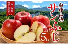 西目屋村産りんご サンふじ 約5kg 果物 林檎 リンゴ ブナの里白神公社 甘い ジューシー シャキシャキ 産地直送 送料無料 青森県 西目屋村