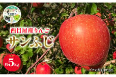 西目屋産りんご サンふじ 約5kg（A-28）